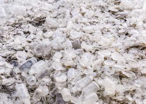 plactic bottle ready for recycling 1